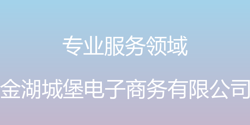 专业服务领域 - 金湖城堡电子商务有限公司